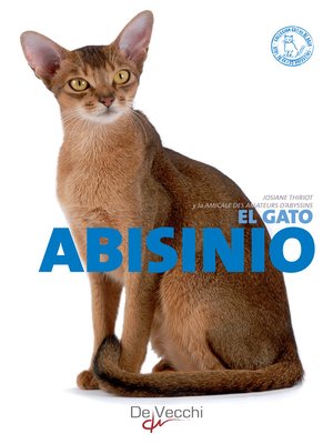 cover image of El gato Abisinio